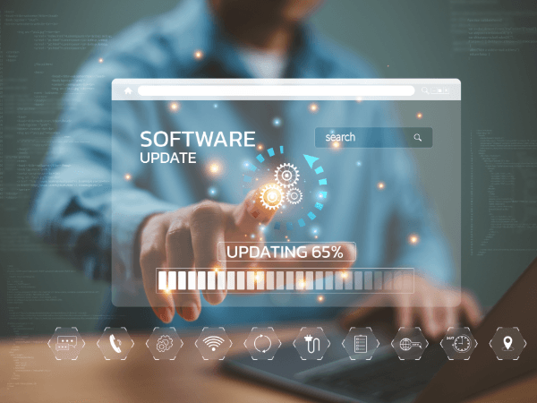 Software development